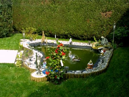 Vue   generale   du  bassin